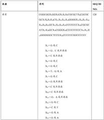 Figure BDA0004078918960001271