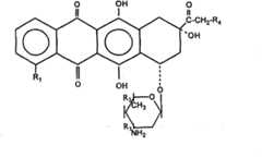 Figure A20091011852200081