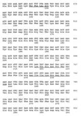 Figure imgf000020_0001