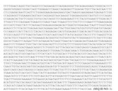 Figure imgf000035_0001