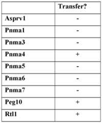 Figure imgf000073_0001