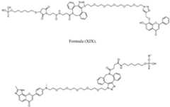 Figure imgf000034_0001