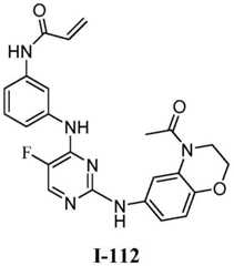 Figure BDA0001453135130002362