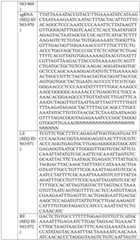 Figure BDA0004033970230004851