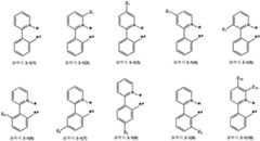 Figure 112014122797456-pat00024