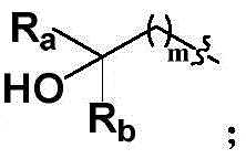 Figure BDA0002170659700000094