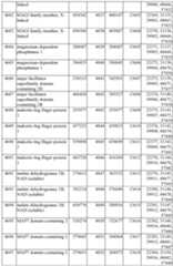 Figure imgf000389_0001