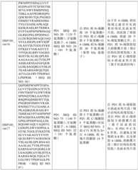 Figure BDA0002939076220001871