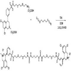 Figure 112011059052603-pct00382