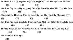 Figure BDA0001145126730000901