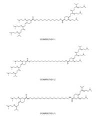 Figure imgf000021_0001