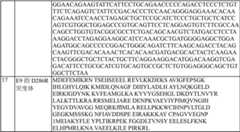 Figure BDA00001823122000691