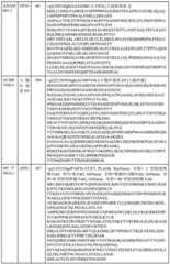 Figure BDA0000429500830000341