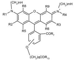 Figure imgf000013_0001