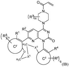Figure imgf000016_0002