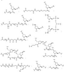 Figure imgf000395_0001