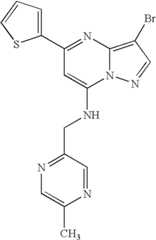 Figure US07119200-20061010-C01382