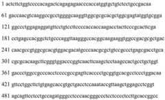 Figure BDA0002465283840001341