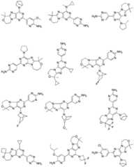 Figure FDA0002486010530000261