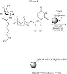 Figure US07405198-20080729-C00066