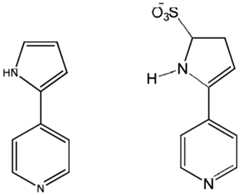 Figure imgf000012_0001