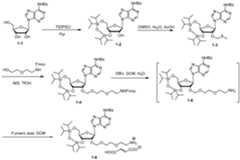 Figure imgf000151_0001