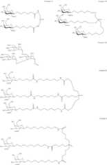 Figure US10814007-20201027-C00005