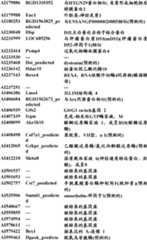 Figure BDA0000057170160001781