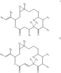 Figure US06380395-20020430-C00012