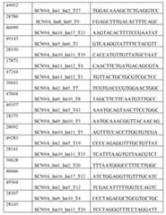 Figure imgf000130_0001