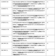 Figure PCTCN2022141410-appb-000002