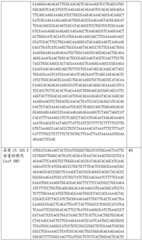 Figure BDA0002508391090001241