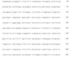 Figure 108123466-A0305-02-0808-873