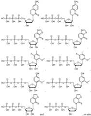 Figure imgf000054_0001
