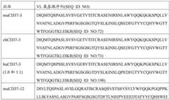 Figure GDA0002332994560000322