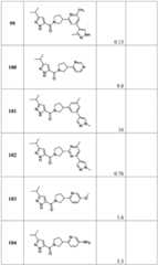 Figure BDA0001316473010001811