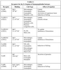Figure imgf000006_0001