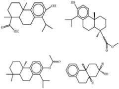 Figure imgf000074_0002