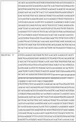 Figure BDA0002742983620000521