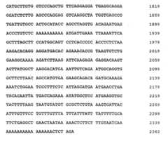 Figure imgf000022_0001