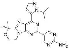 Figure BDA0001402557760001522