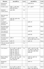 Figure imgf000019_0001