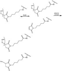 Figure imgf000076_0001