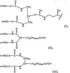 Figure GPA00001105858500101