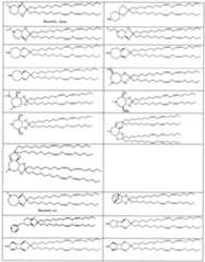 Figure imgf000035_0001