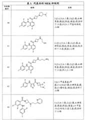 Figure G2007800513551D01081