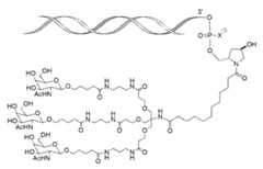 Figure imgf000066_0001