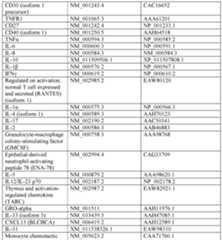 Figure imgf000054_0001