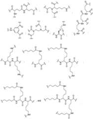 Figure imgf000068_0001