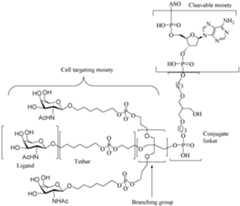 Figure imgf000090_0001